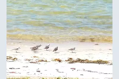 Lot 14 Hidden Ridge Rd, Port Saint Joe, FL 32456 - Photo 15