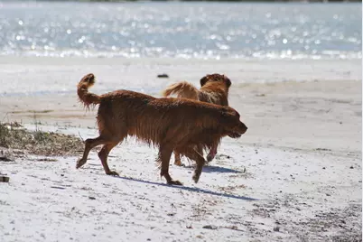 Lot 14 Hidden Ridge Rd, Port Saint Joe, FL 32456 - Photo 5