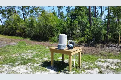 8990 Cr 386 N, Wewahitchka, FL 32465 - Photo 5