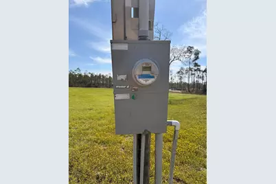 8990 Cr 386 N, Wewahitchka, FL 32465 - Photo 3