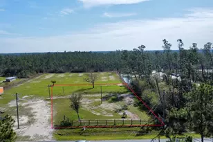 8990 Cr 386 N, Wewahitchka, FL 32465 - Photo 1
