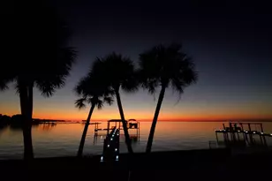 352 Patton St, Saint George Island, FL 32328 - Photo 5