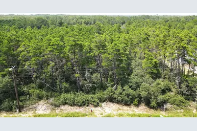 2009 Hwy 98 W, Carrabelle, FL 32322 - Photo 3