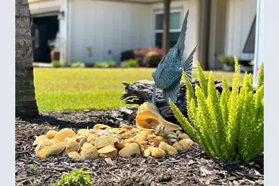 135 Sea Haven Dr, Port Saint Joe, FL 32456 - Photo 5