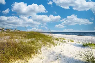 107 41st St, Mexico Beach, FL 32456 - Photo 55