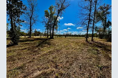 703 W River Rd, Wewahitchka, FL 32465 - Photo 3
