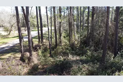 2478 Florida Ave, Carrabelle, FL 32322 - Photo 15