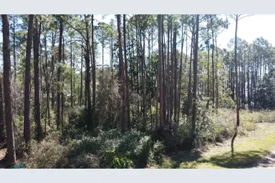 2478 Florida Ave, Carrabelle, FL 32322 - Photo 13