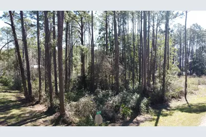 2478 Florida Ave, Carrabelle, FL 32322 - Photo 9