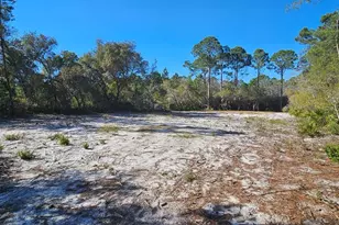 2003 Lighthouse Rd, Carrabelle, FL 32322 - Photo 1