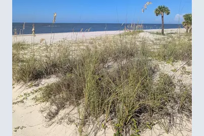 178 Redbird St, Port Saint Joe, FL 32456 - Photo 7