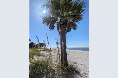 178 Redbird St, Port Saint Joe, FL 32456 - Photo 17