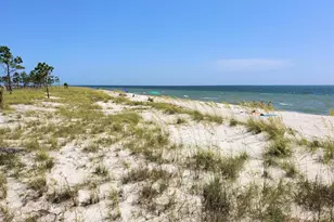 459 Sea Grv Wy, Port Saint Joe, FL 32456 - Photo 37