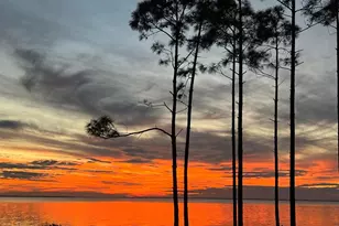 1607 Monument Ave, Port Saint Joe, FL 32456 - Photo 19