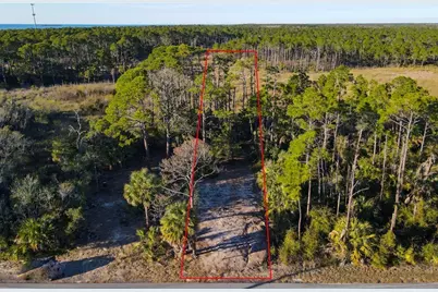 Lot 5 Cr 30-A, Port Saint Joe, FL 32456 - Photo 3