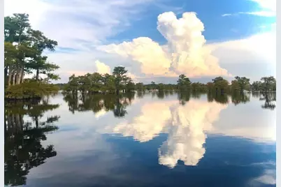 234 Sesame St, Wewahitchka, FL 32465 - Photo 17