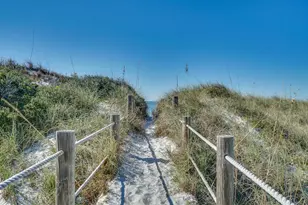 163 Seacliff Dr, Cape San Blas, FL 32456 - Photo 69