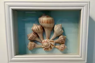 103 N 35th St, Mexico Beach, FL 32456 - Photo 33