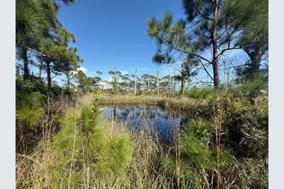 Tbd Cape San Blas Rd, Cape San Blas, FL 32456 - Photo 7