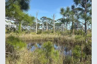 Tbd Cape San Blas Rd, Cape San Blas, FL 32456 - Photo 9