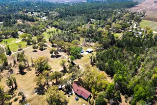 180 Grant Ln, Wewahitchka, FL 32465 - Photo 85