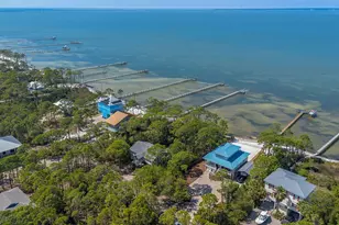 1235 Watkins Cove, Saint George Island, FL 32328 - Photo 11