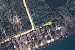 Lot 21 Silver Lake Dr, Marianna, FL 32448 - Photo 1