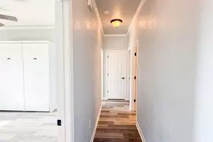 415 Texas Dr, Mexico Beach, FL 32456 - Photo 29