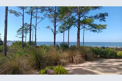 344 Bradford St, Saint George Island, FL 32328 - Photo 41