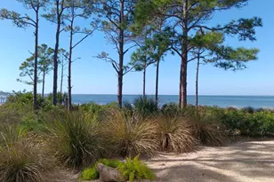 344 Bradford St, Saint George Island, FL 32328 - Photo 41