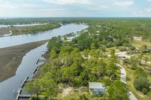 513 Shellys Loop Rd, Carrabelle, FL 32322 - Photo 53