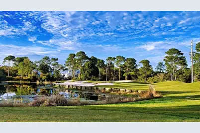 109 Anhinga Trl, Carrabelle, FL 32323 - Photo 7