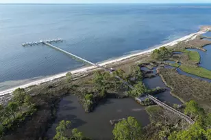 1637 Wayfarers Ct, Saint George Island, FL 32328 - Photo 59