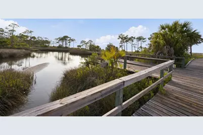 1637 Wayfarers Ct, Saint George Island, FL 32328 - Photo 61