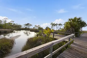 1637 Wayfarers Ct, Saint George Island, FL 32328 - Photo 61