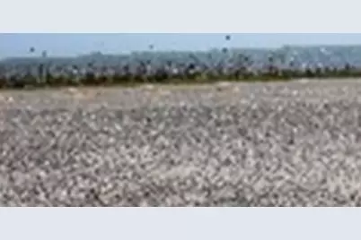 260 Boncycle Land Dr, Eastpoint, FL 32328 - Photo 15