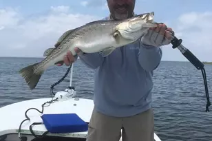 980 W Bay Shore Dr, Saint George Island, FL 32328 - Photo 45