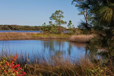 Lot 2 Cape San Blas Rd, Port Saint Joe, FL 32456 - Photo 45