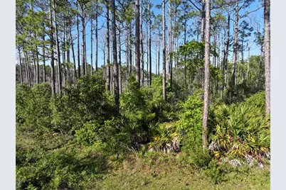 221 Baywood Dr, Carrabelle, FL 32322 - Photo 9