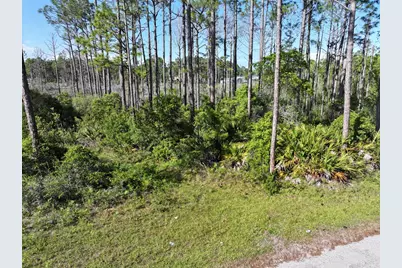 221 Baywood Dr, Carrabelle, FL 32322 - Photo 7