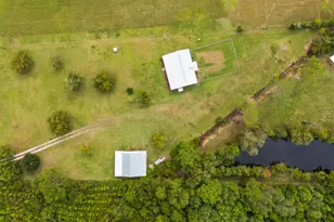 821 Mace Martin Rd, Wewahitchka, FL 32465 - Photo 25