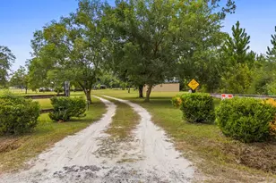 821 Mace Martin Rd, Wewahitchka, FL 32465 - Photo 7