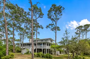 2039 Sand Dollar Trail, Saint George Island, FL 32328 - Photo 53