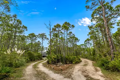 2039 Sand Dollar Trl, Saint George Island, FL 32328 - Photo 55