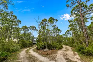 2039 Sand Dollar Trail, Saint George Island, FL 32328 - Photo 55