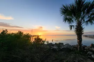 2039 Sand Dollar Trail, Saint George Island, FL 32328 - Photo 67