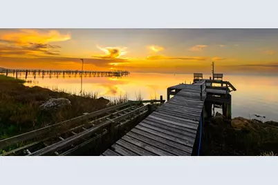 2043 Sand Dollar Trl, Saint George Island, FL 32328 - Photo 11