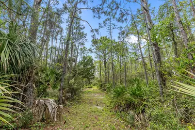 2043 Sand Dollar Trl, Saint George Island, FL 32328 - Photo 3