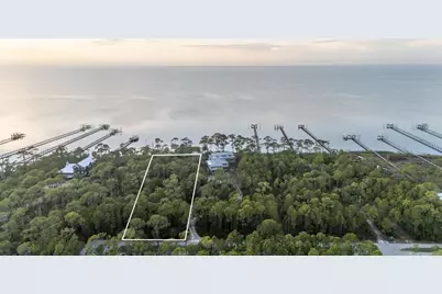 2043 Sand Dollar Trl, Saint George Island, FL 32328 - Photo 5