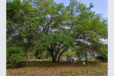 119 Sanborn Rd, Carrabelle, FL 32322 - Photo 11